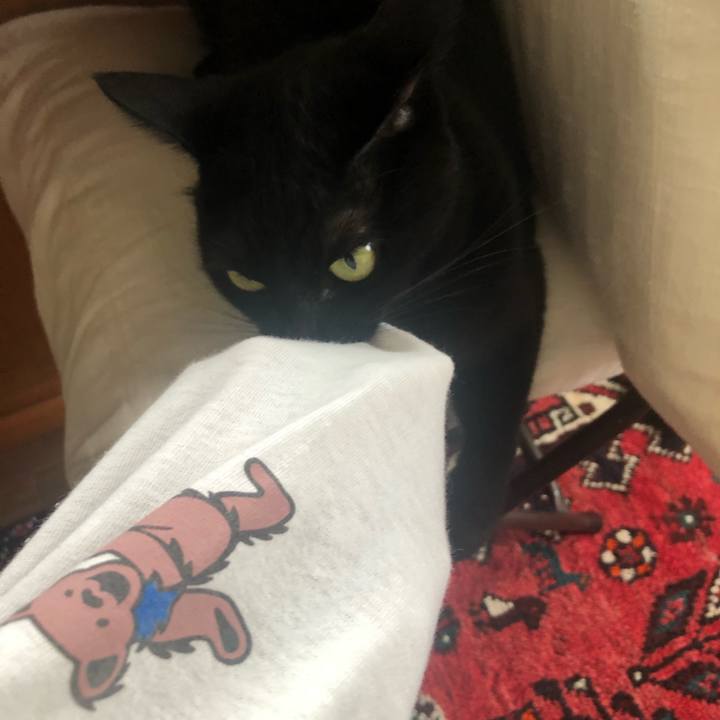 Bf201876 05b0 416c 9d7a b31a97be69cd 1629250754214