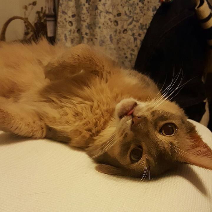 Bf203641 f2ef 4d1f 97c7 86d849404aab 1562159554042