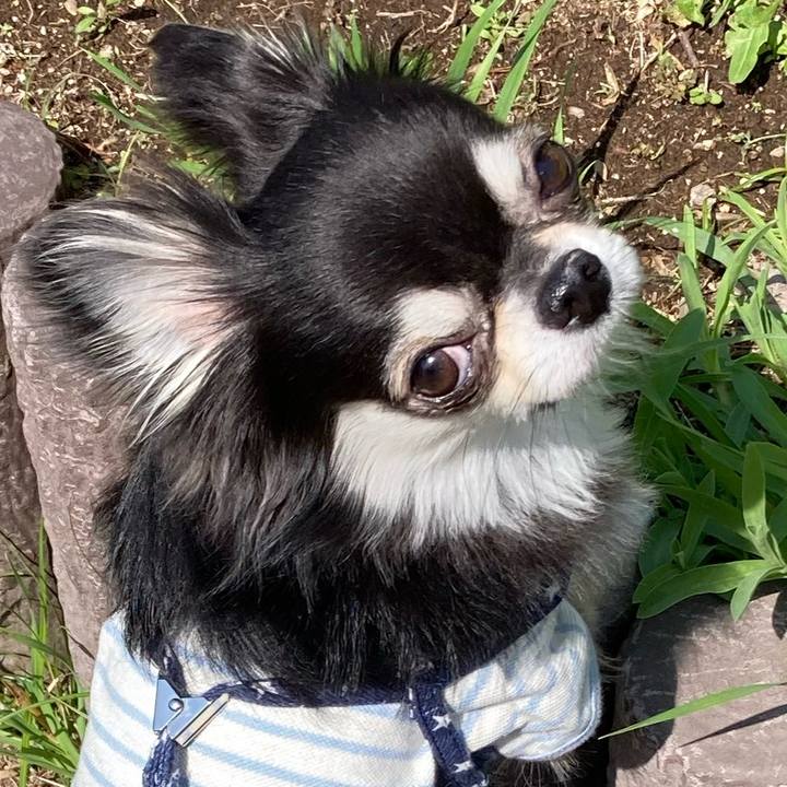 Bf206ae8 5fa8 474d af87 76641b0636e4 1651669907664