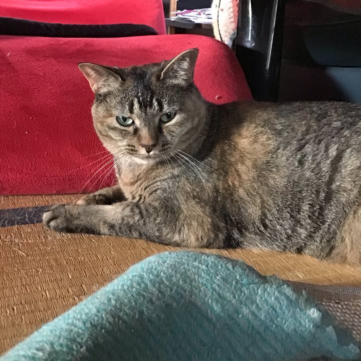 Bf20dd29 44bc 481f a838 962f809ffc83 1751890969990