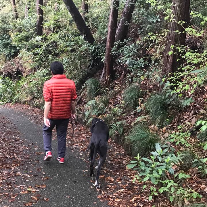 Bf20e0e9 7141 4eee 8be4 657abaf94e73 1523056677165