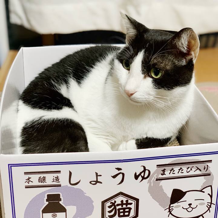 Bf212275 b2d7 4080 b241 7b612dd349c3 1540961395958