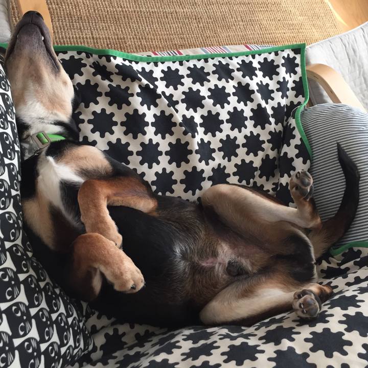 Bf213e05 28d3 45ac a4d9 189d5cc6c372 1543121719156