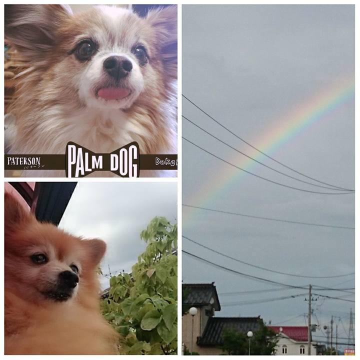 Bf215560 ff98 4155 b0a6 143988714eb9 1535267544591