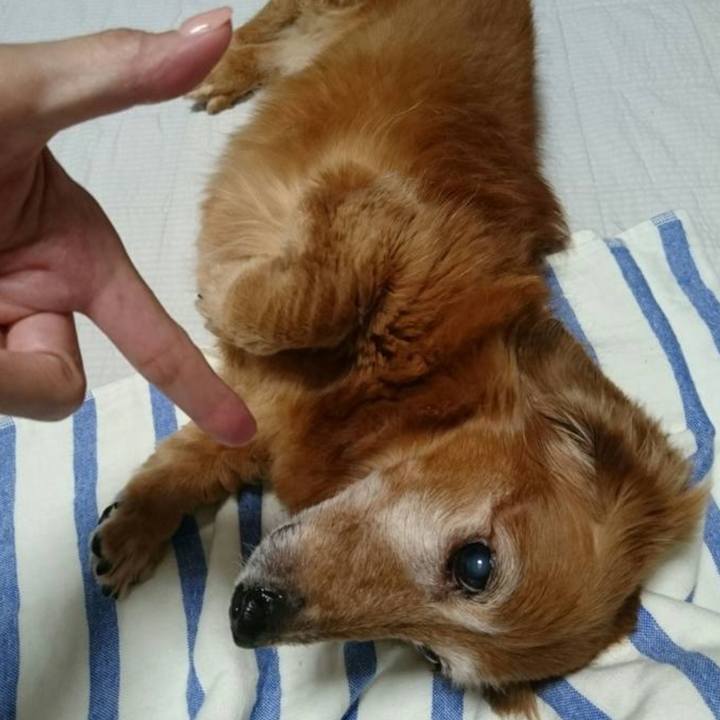 Bf2155a4 782e 44dc a29a a345479e9bd3 1727196782374