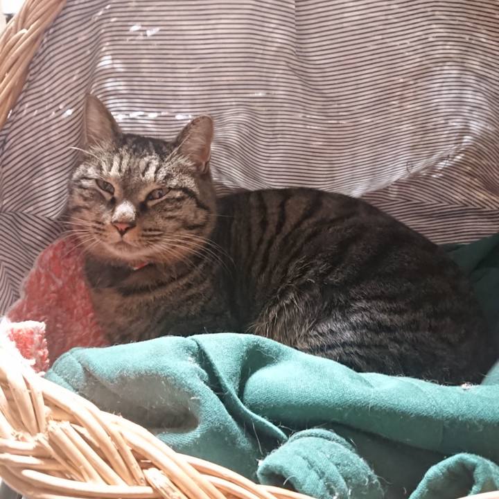 Bf216936 2c2b 4a80 8adc f83ef3803146 1641641115811