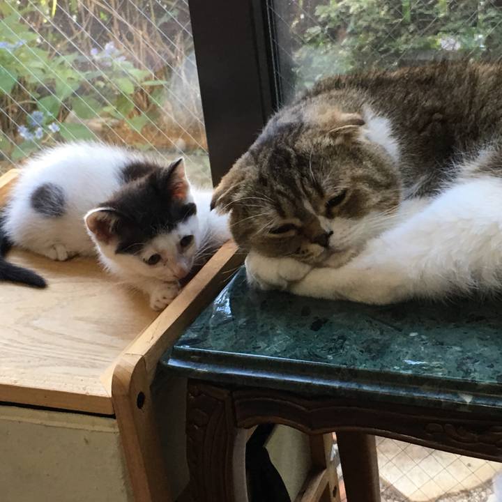 Bf217e92 aef3 4565 bed9 a76eeecb0911 1530130195723