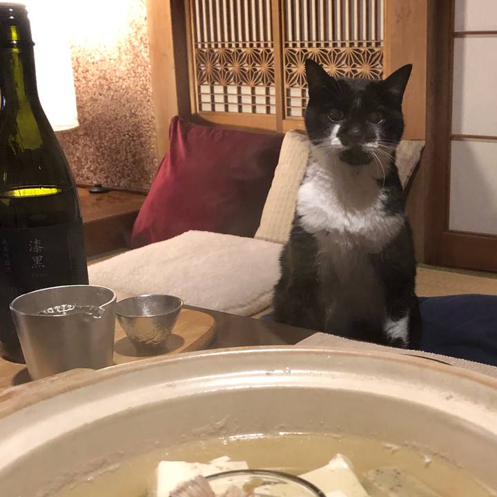 Bf21b62d 1431 4057 9ffe d5e3ab7639d9 1577703271344