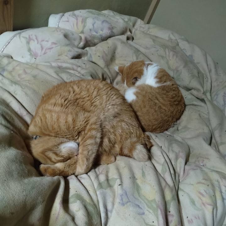 Bf21d53b befa 4ccc b877 33d9e6b9eb7e 1763466801229