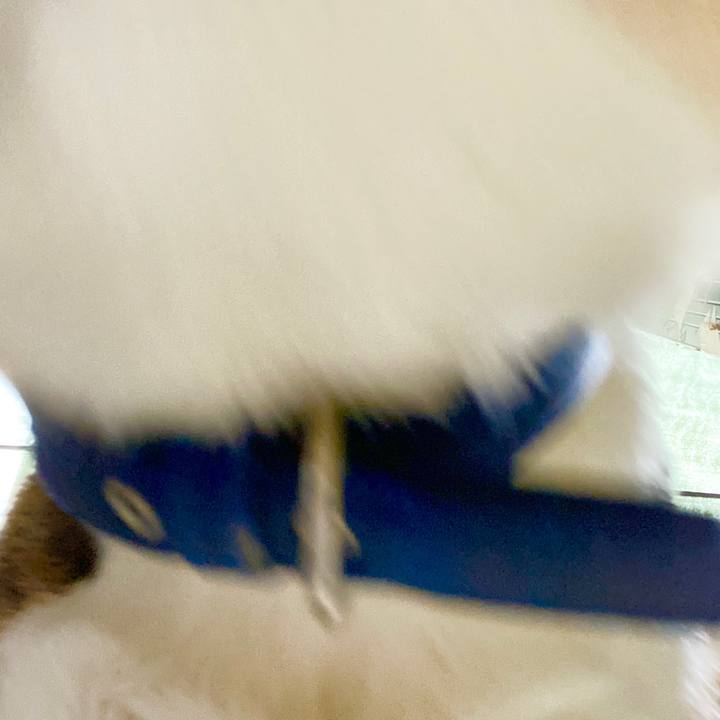 Bf21e81f 53d6 4851 8fea a01bdeae9d7b 1593492568316