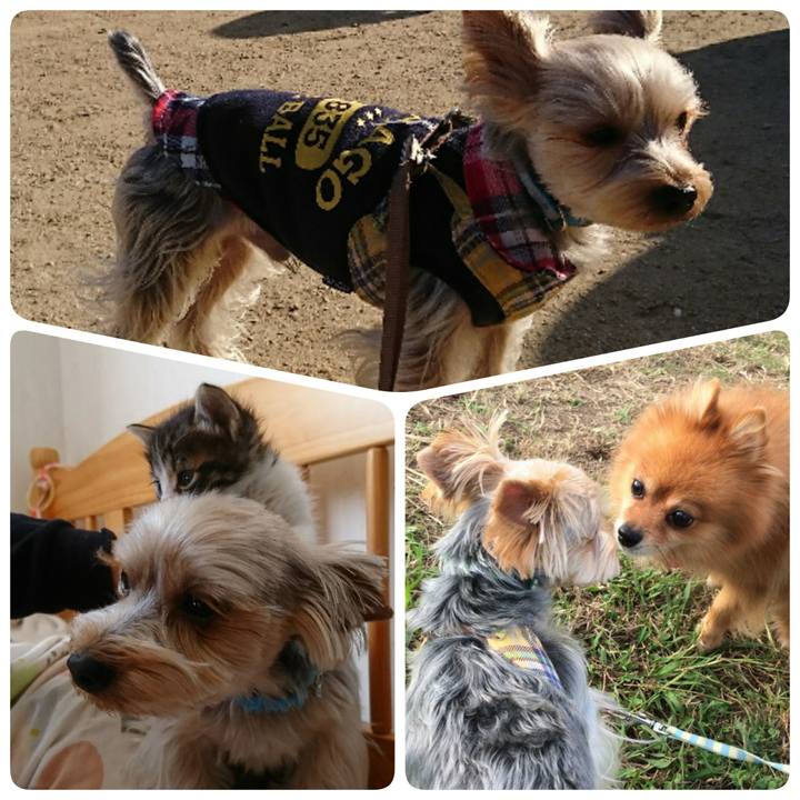 Bf21fc7a 8346 4387 b848 3d6eaa8eb46e 1514628672723