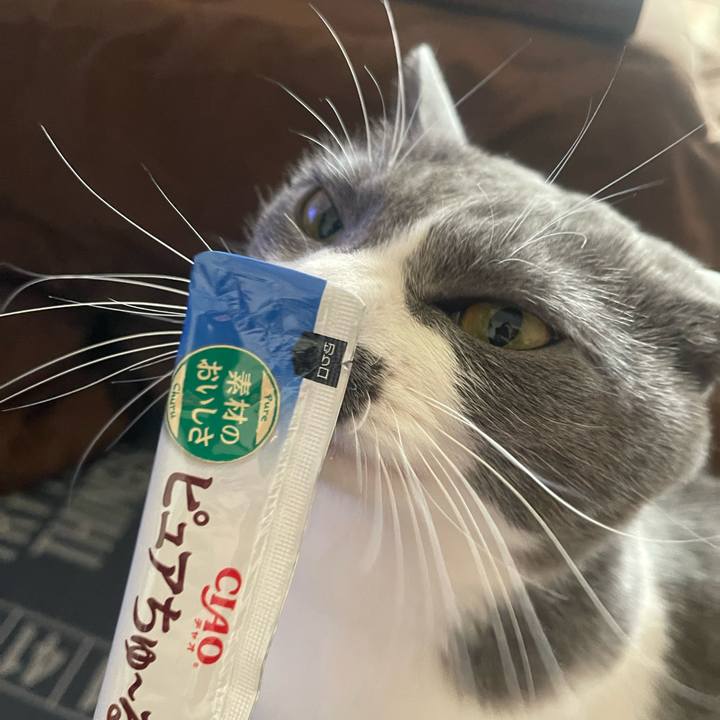 Bf222d2c 3026 40e6 b15b 6a350b467ddf 1702017711046