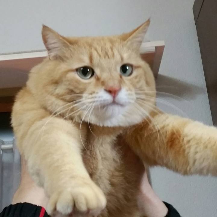 Bf223bf7 5041 48de 9b67 16df5ff3c06b 1521067793428