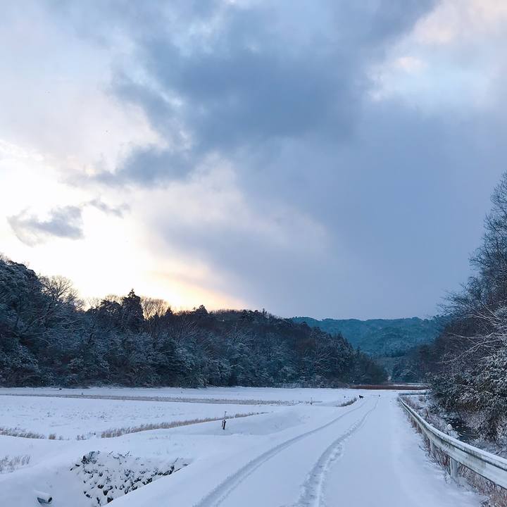 Bf226fa7 1bd3 475c bcd4 5893c30d70a3 1549756269396