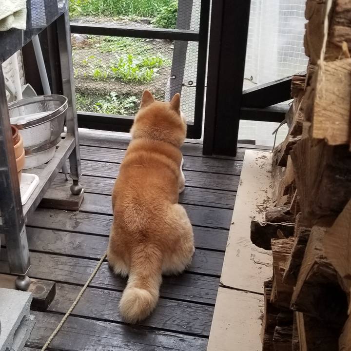 Bf22a8c6 11a6 486c b859 c05f2a5ab956 1697755187351