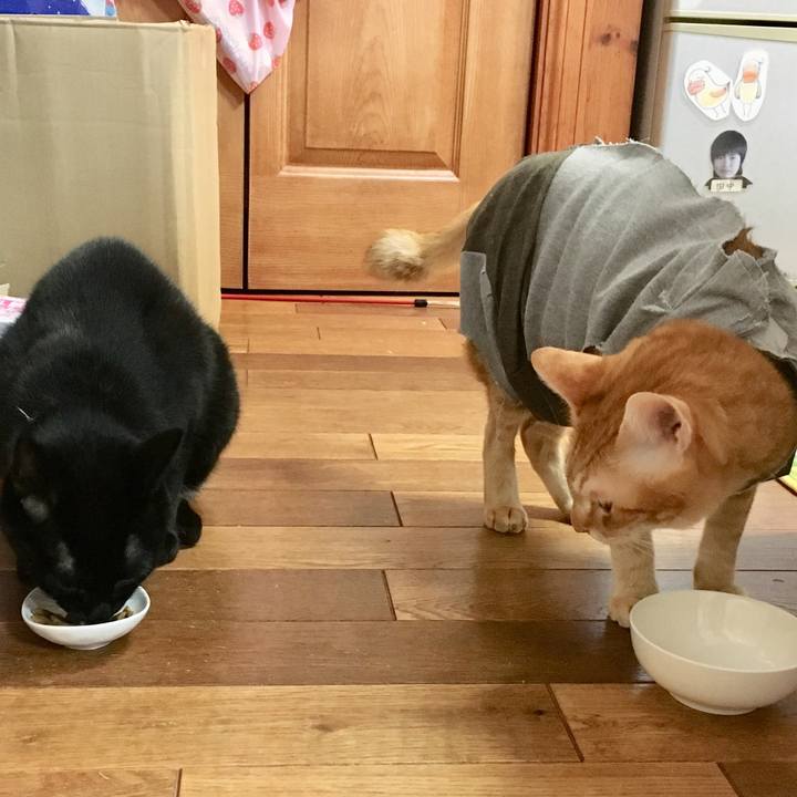 Bf22c839 7707 4ae5 918f 8b213ef87887 1537934558476