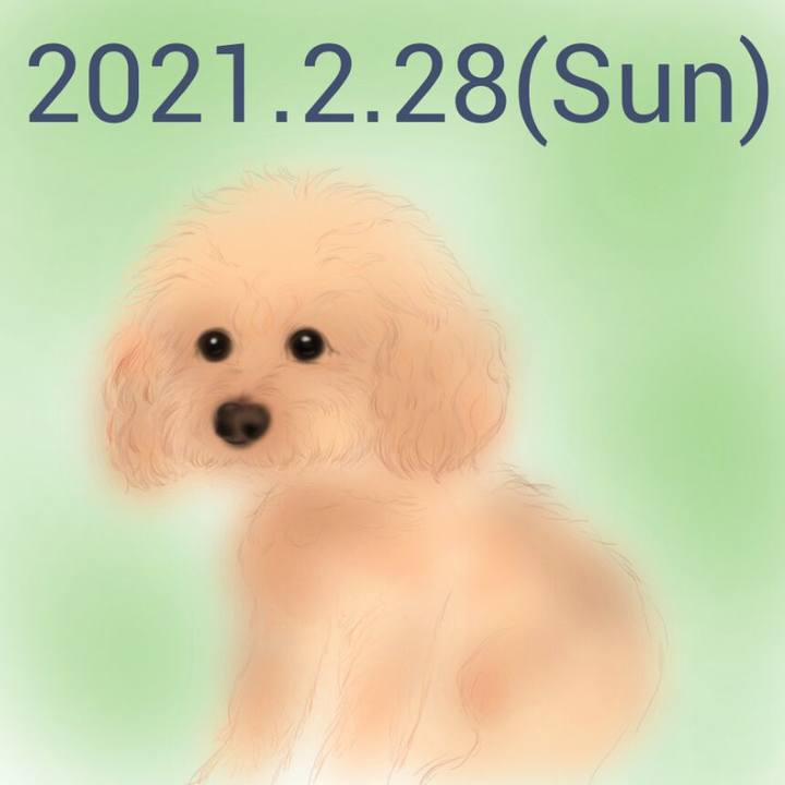 Bf233034 b787 47b7 869d 4750a11eafa9 1614503622761