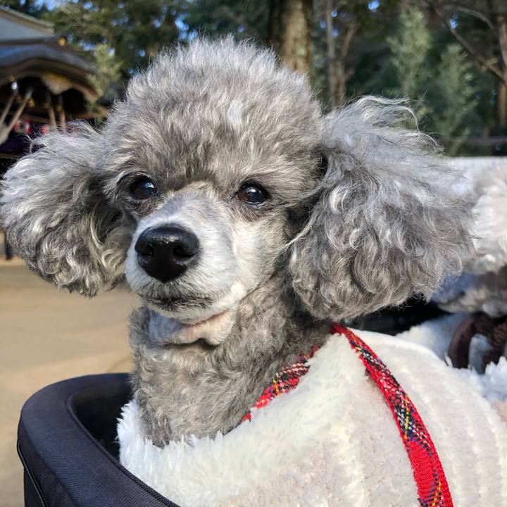 Bf233052 26b4 423e b87b 266cdfcffe7b 1672829312862