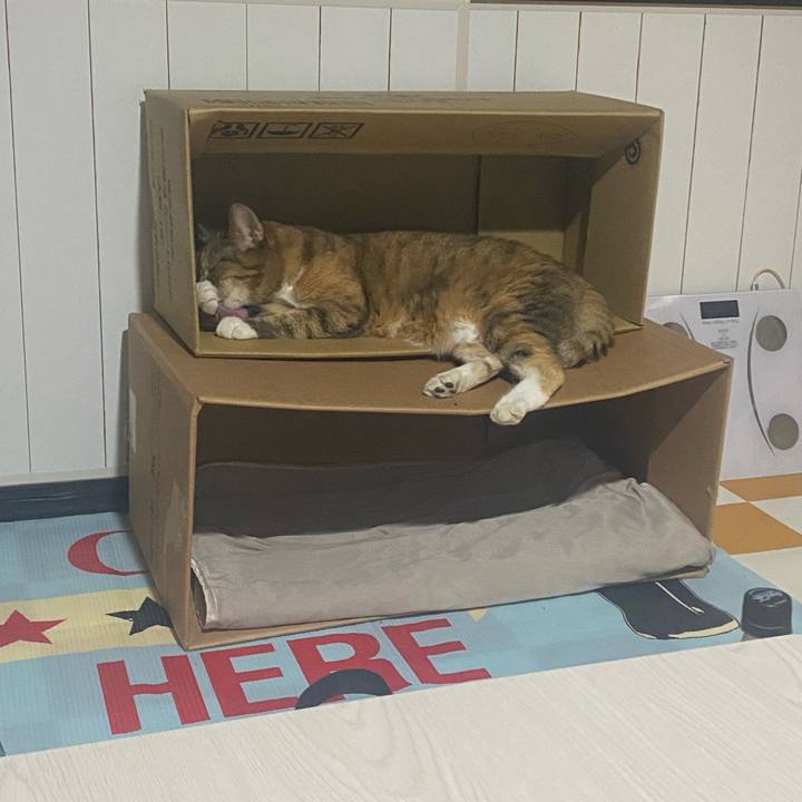 Bf2394a5 df9d 4072 8dfe 15a855fbf452 1720069684469