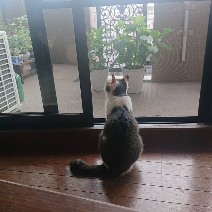 Bf240070 f9eb 4887 8750 a09fffb97559 1686448969257