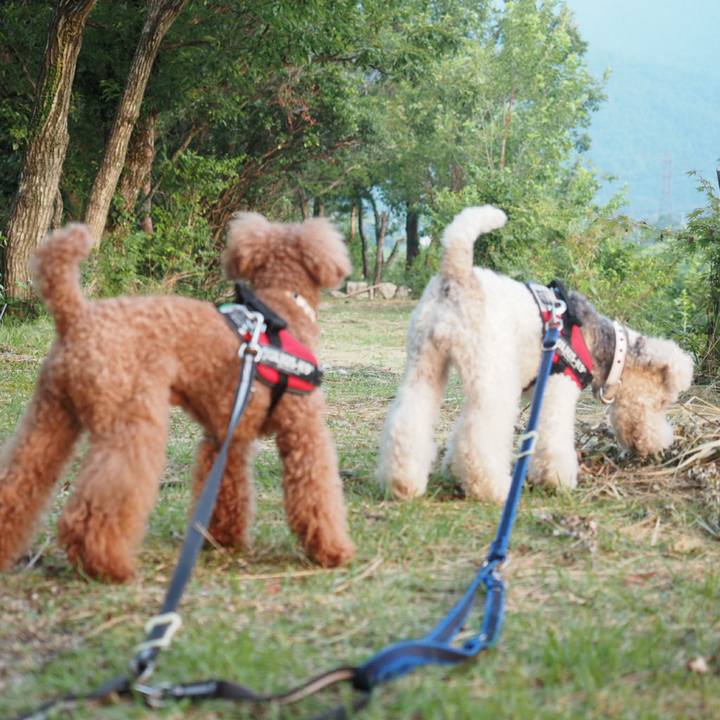 Bf2400b0 cb71 4fdc 99d8 5a26d9a77711 1532050333696