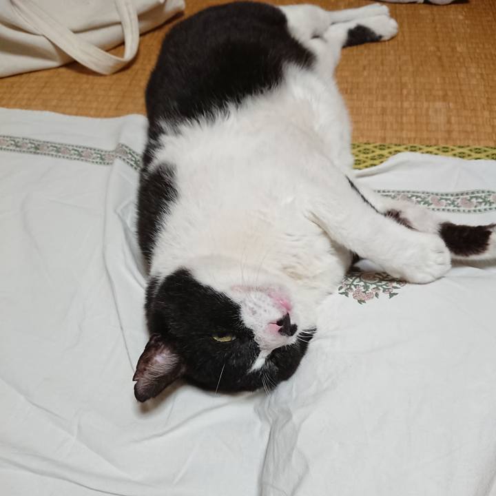 Bf24373d 8f07 4f97 b0dc 013a7542b2eb 1632139187857