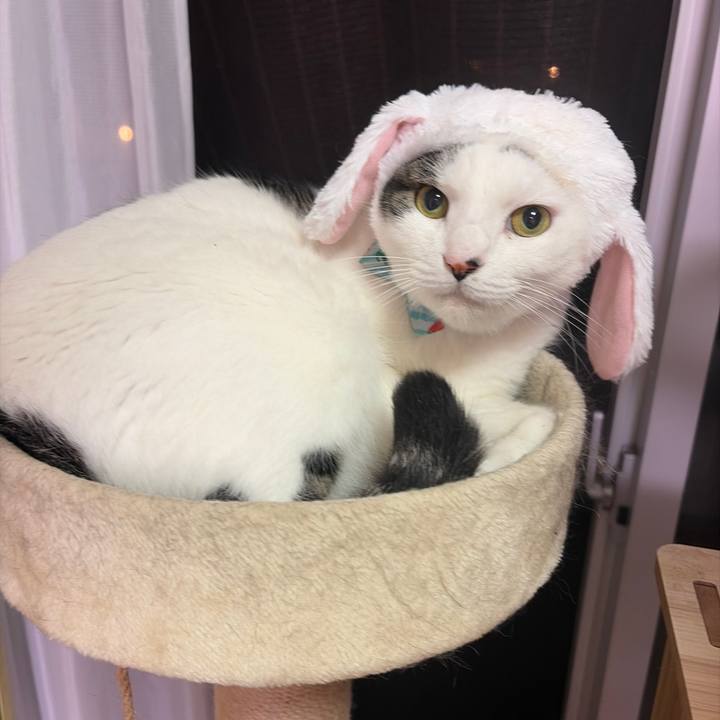 Bf243827 9ac0 41e6 a97f d712b982b524 1783522066393