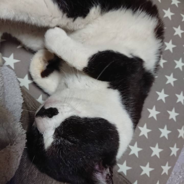 Bf2447df 263c 45b9 8a06 471ea0dbef76 1650115482249