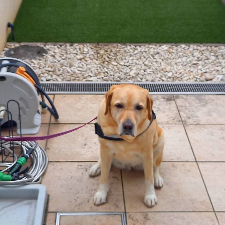 Bf245157 81ec 4dfe a131 fcaa55e5249d 1600553874214