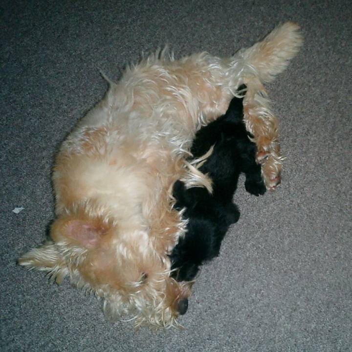 Bf245bdd 9cab 4403 9e3e 275255743cc9 1522318596714