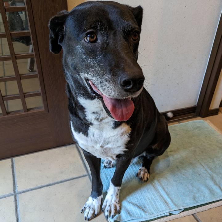 Bf246c23 fed0 4e60 be22 43af62bf7abe 1715733856263