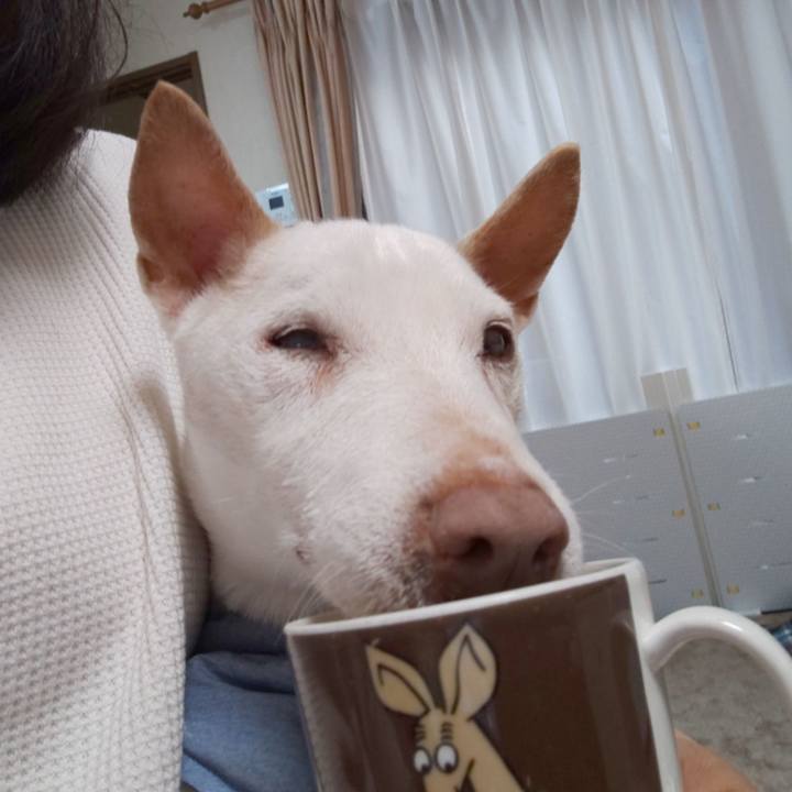 Bf248e6d cebb 4859 aa62 44d84b294a2c 1557960082475