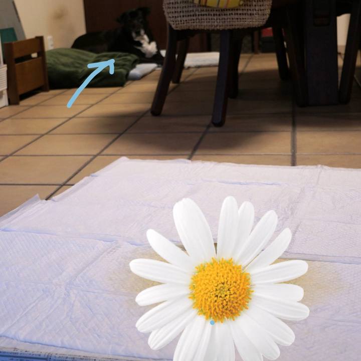 Bf249b28 0a72 43c0 9030 aea5774eb49a 1759798491081