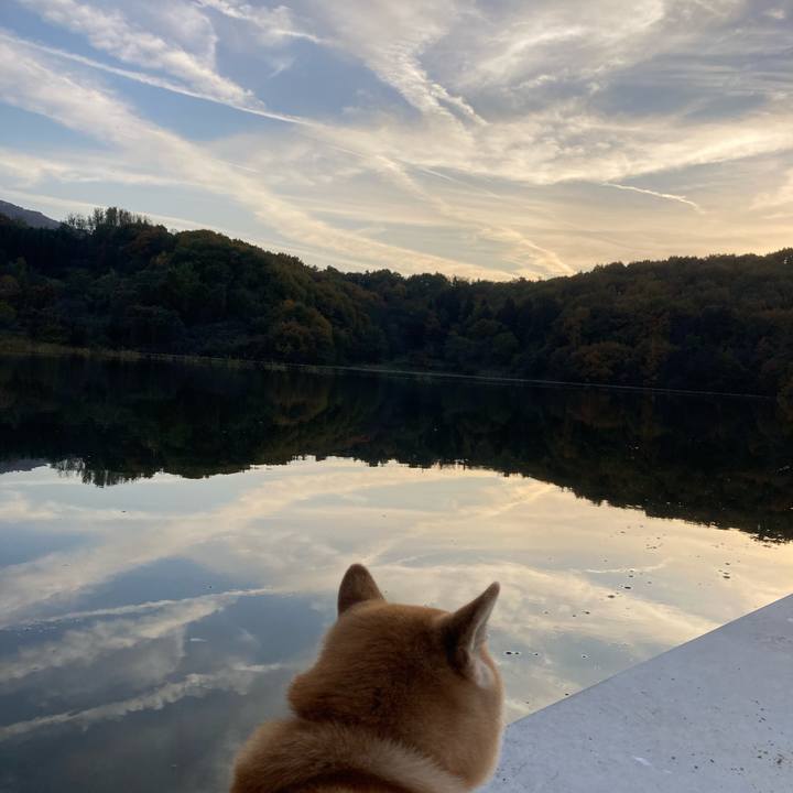 Bf24a33c 367d 412b 8b55 9fad7a78c534 1731567798907