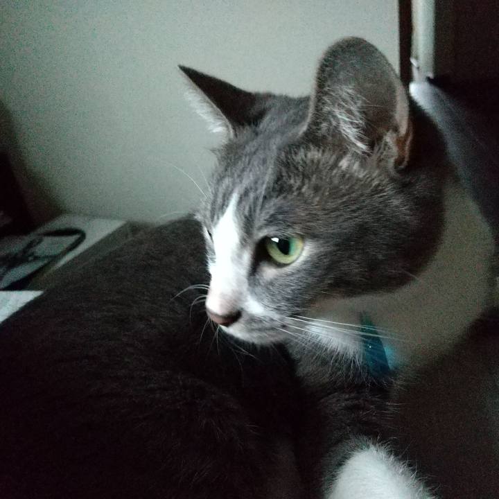 Bf24bb3b 1278 4f59 9450 4a256ae848ff 1621549413398