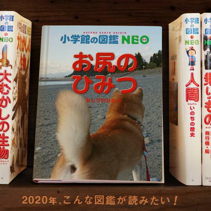 Bf24bec6 084c 4987 81ee 3c90dce249e1 1578207655500