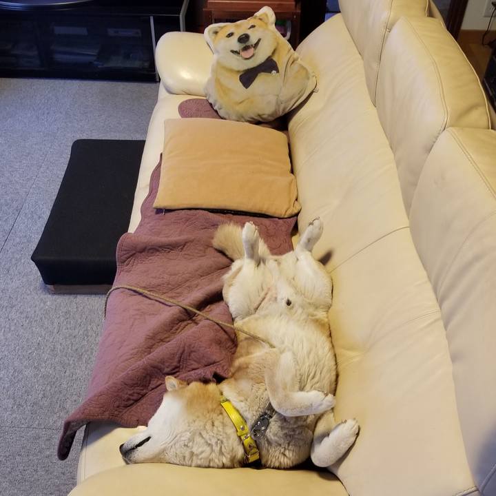 Bf24cffa 889e 4f58 b266 e654d0f32960 1683420282924