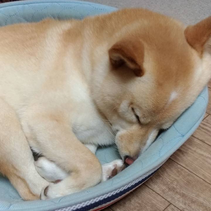 Bf252fd9 28c8 49b4 88f6 fe237e46bc62 1562589206012