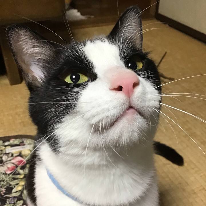 Bf2533bc 482e 4f46 a6c1 e23e6e8a05c6 1683803409688