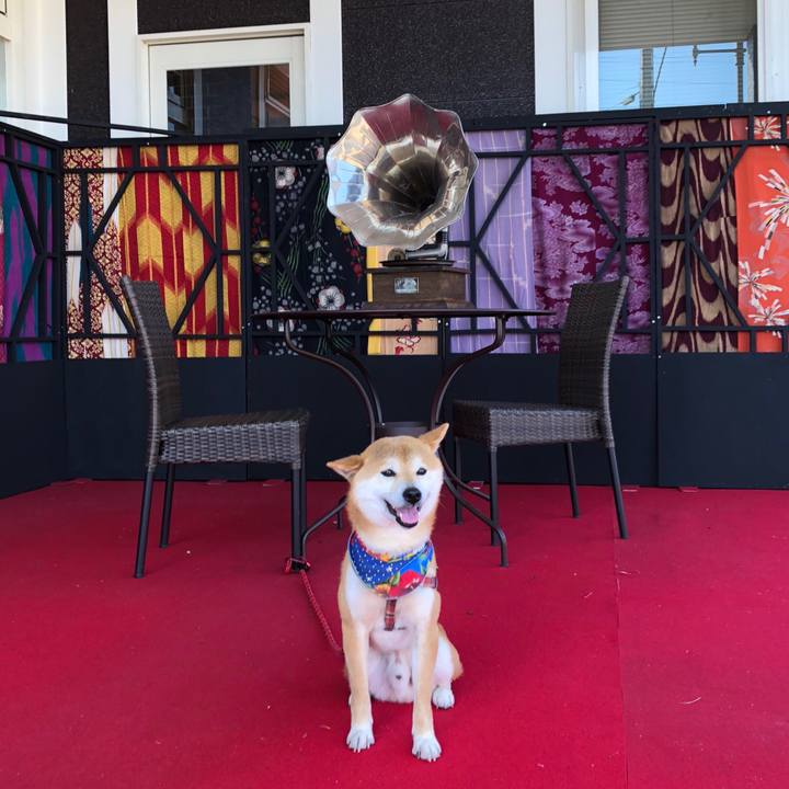 Bf253b36 2d94 4f0c 8a81 e391288591ed 1520839313121