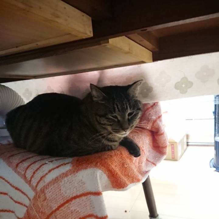 Bf253cc7 4d08 485f aa9c 62d0f64df1cf 1644183380782