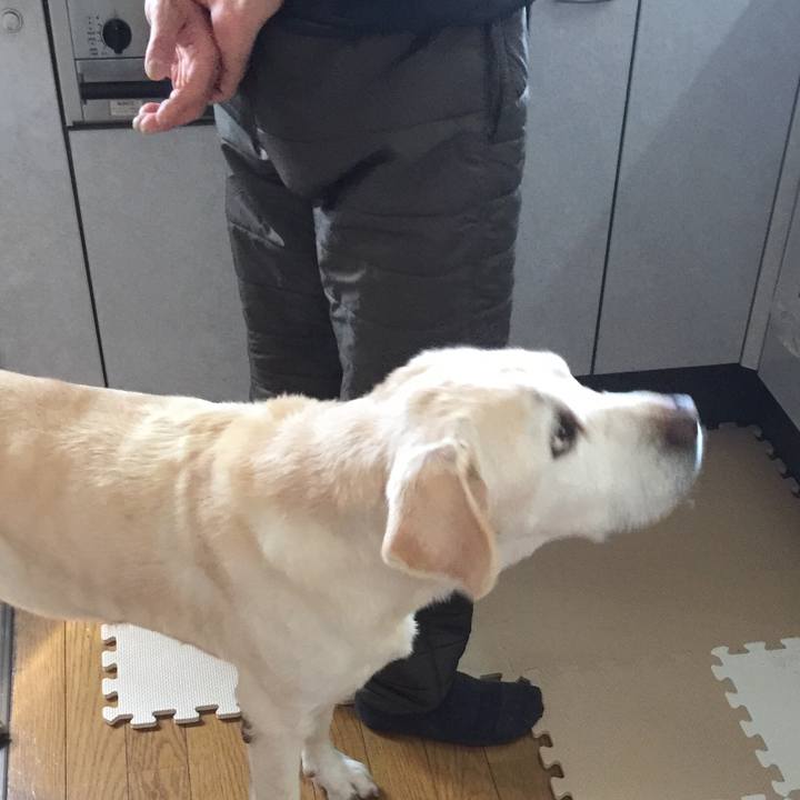 Bf2582a6 90d1 41d9 894e f483cb7e146d 1520384831509