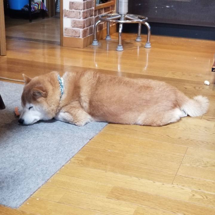 Bf25870d e89b 437d ae74 36a8db12351e 1705449634013