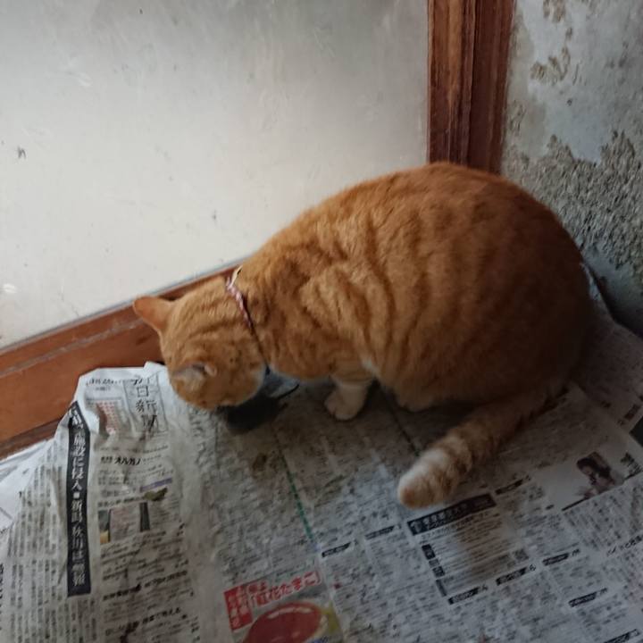 Bf259153 64b1 4066 b9fa 73fcfe042e27 1607075306553