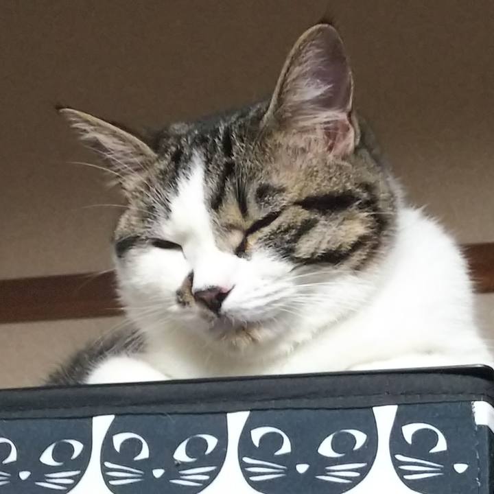 Bf25a9e7 e7f9 4b7b a6e3 86613bacf0a8 1621689389590