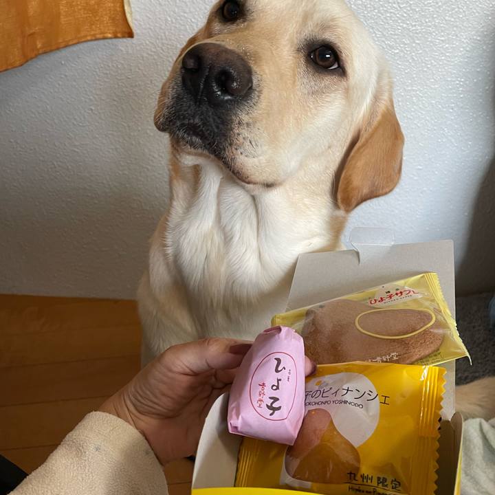 Bf25fba8 f424 44f0 afe6 c7adae59b457 1647683686318