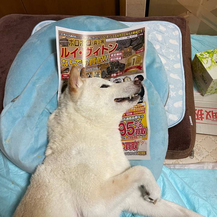 Bf26137f 2cf8 4789 96c5 4f0b2a186363 1658328659400