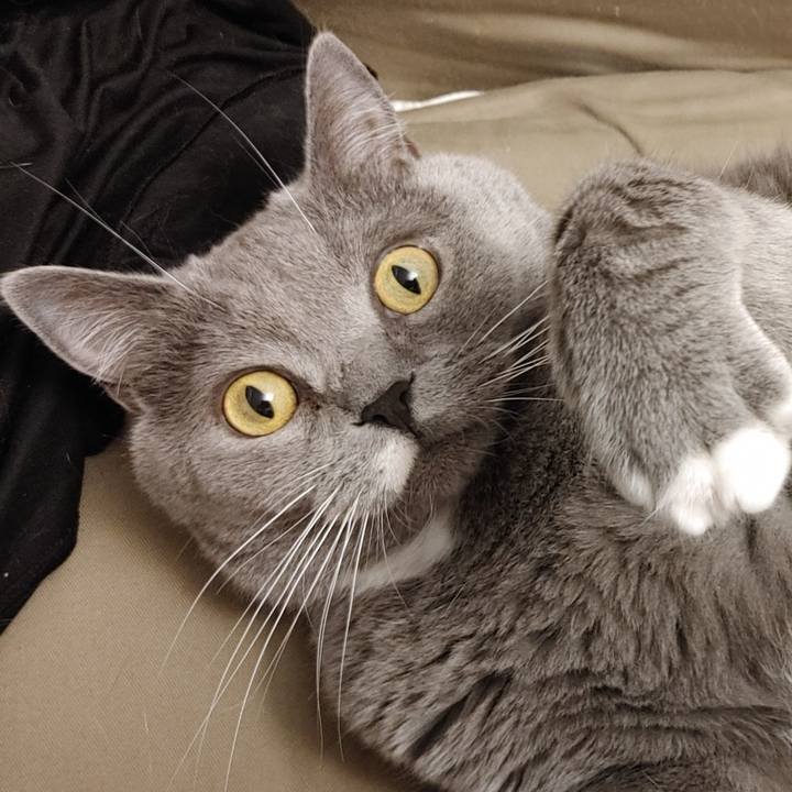 Bf262c62 f988 4a8d b10d c60113669a98 1620030720141