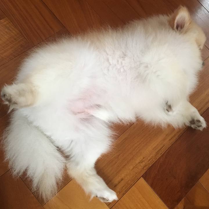 Bf263d3b 94d5 47fb 86fe e40cc0519a00 1528672980889