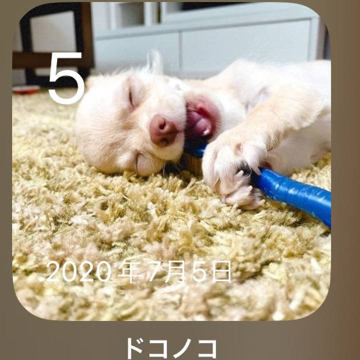 Bf264bc7 64e3 4660 b24c 99e1b01dd720 1688554778387